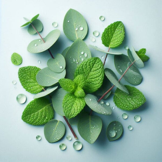 Eucalyptus & Mint Deli Pot