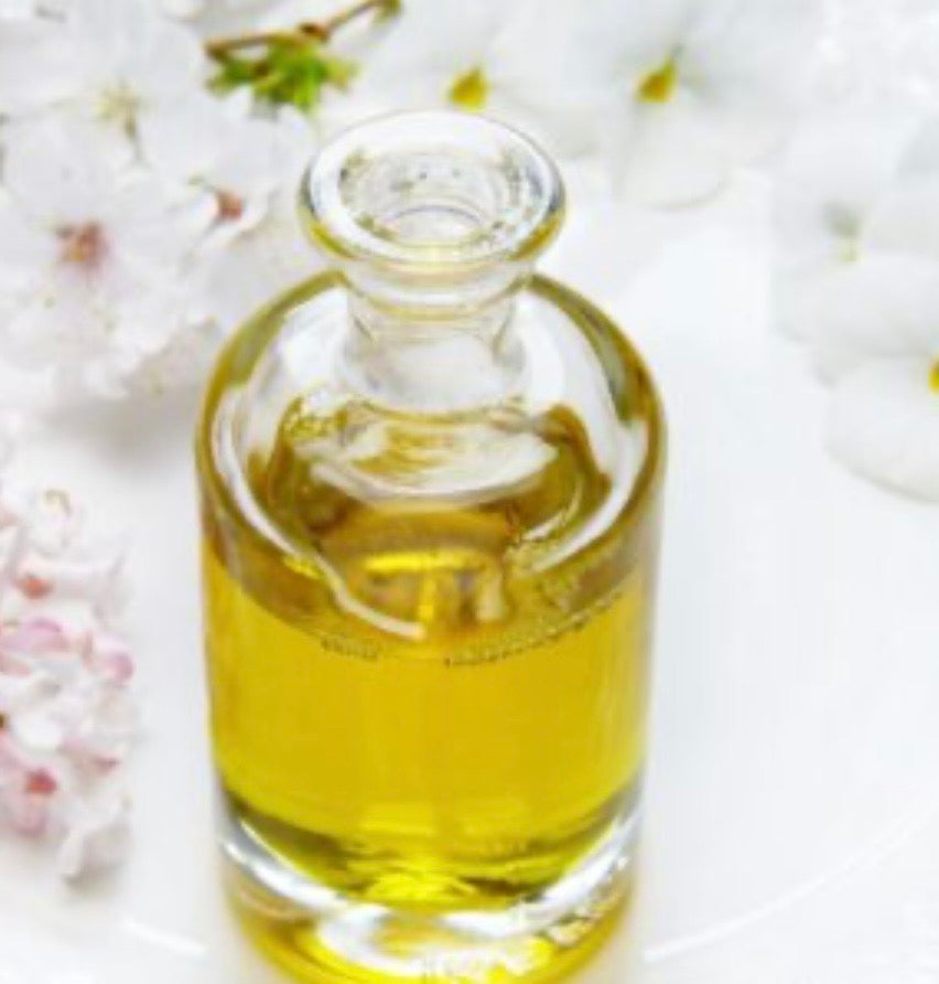 Dark Fruit Wax Deli Pot